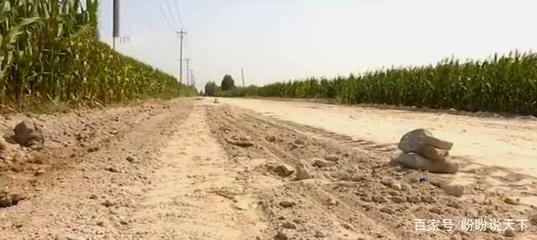 保定清苑區(qū)為了給工廠修路,私自侵占農(nóng)民耕地,被省臺(tái)曝光