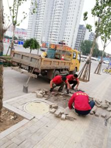 市政工程管理中心強化設施維修，全力保障道路暢通與設施完善